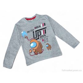 Фотография Батник детский Весна/осень 4389 св.сірий (4 шт. р.сетка 3-6) "Kids-modnik" недорого оптом от прямого поставщика