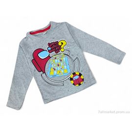 Фотография Батник детский Весна/осень 4389 св.сірий міньйон (4 шт. р.сетка 3-6) "Kids-modnik" недорого оптом от прямого поставщика