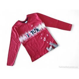 Батник дитячий Весна/осінь 2108 червоний (4 шт. р.сітка9-12) "Kids-modnik" недорого оптом від прямого постачальника
