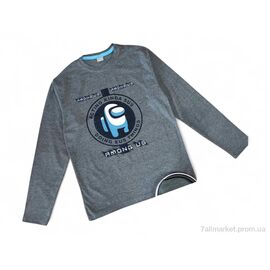 Батник дитячий Весна/осінь 4391 сірий міньйон (4 шт. р.сітка11-14) "Kids-modnik" недорого оптом від прямого постачальника