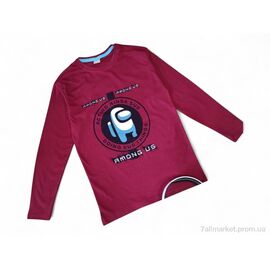 Батник дитячий Весна/осінь 4391 бордовий міньйон (4 шт. р.сітка11-14) "Kids-modnik" недорого оптом від прямого постачальника