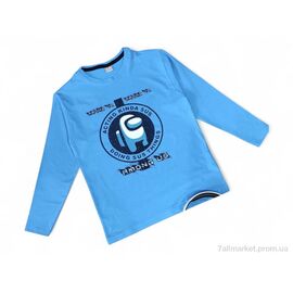 Батник дитячий Весна/осінь 4391 блакитний міньйон (4 шт. р.сітка11-14) "Kids-modnik" недорого оптом від прямого постачальника