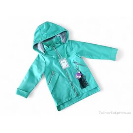Вітровка дитяча Весна/осінь 4024 м'ятний (5 шт. р.сітка110-134) "Kids-modnik" недорого оптом від прямого постачальника