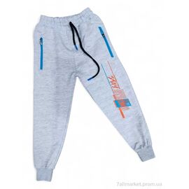 Штани дитячі спортивні Весна/осінь 9769 світло-сірий (4 шт. р.сітка6-9) "Kids-modnik" недорого оптом від прямого постачальника
