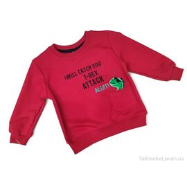 Батник дитячий Весна/осінь 17159 червоний (4 шт. р.сітка1-3) "Kids-modnik" недорого оптом від прямого постачальника