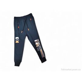 Фотография Брюки детские спортивные Зима 520 чорний (4 шт. р.сетка 5-8) "Kids-modnik" недорого оптом от прямого поставщика
