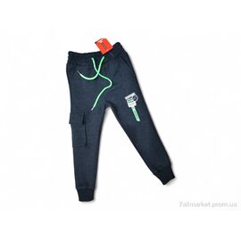 Фотография Брюки детские спортивные Зима 521-1 т.сірий (4 шт. р.сетка 9-12) "Kids-modnik" недорого оптом от прямого поставщика