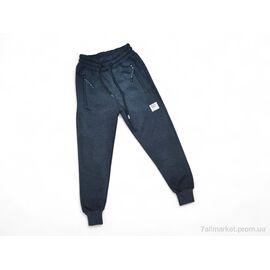 Фотография Брюки детские спортивные Зима 2005 т.сірий (13-16) (4 шт. р.сетка 13-16) "Kids-modnik" недорого оптом от прямого поставщика
