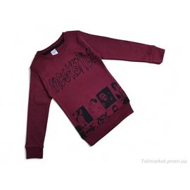Батник дитячий Весна/осінь 2020 бордовий (5 шт. р.сітка3-7) "Kids-modnik" недорого оптом від прямого постачальника
