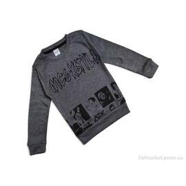 Батник дитячий Весна/осінь 2020 сірий (5 шт. р.сітка3-7) "Kids-modnik" недорого оптом від прямого постачальника
