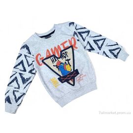 Батник дитячий Весна/осінь 13630 сірий (5 шт. р.сітка3-7) "Kids-modnik" недорого оптом від прямого постачальника