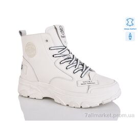 Фотография Ботинки женские стильные зима YSN2281-5 (8 пар р.36-41) "HOROSO-UFO" недорого оптом от прямого поставщика