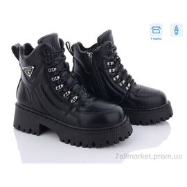 Фотография Ботинки женские стильные зима NT110-1 (8 пар р.36-41) "Захар-Gold" недорого оптом от прямого поставщика