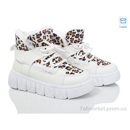 Фотография Ботинки женские стильные зима N140-2 (8 пар р.36-41) "Захар-Gold" недорого оптом от прямого поставщика