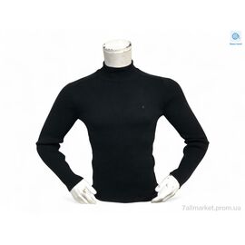 Фотография Свитер мужской Весна/осень 14010 чорний (3 шт. р.сетка M-XL) "TurkishBrend" недорого оптом от прямого поставщика