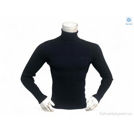 Фотография Свитер мужской Весна/осень 14003 чорний (3 шт. р.сетка M-XL) "TurkishBrend" недорого оптом от прямого поставщика