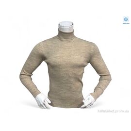 Фотография Свитер мужской Весна/осень 14003 темний беж (3 шт. р.сетка M-XL) "TurkishBrend" недорого оптом от прямого поставщика