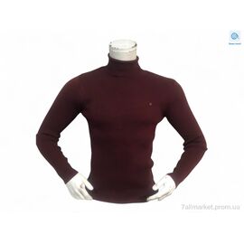 Светр чоловічий Весна/осінь 14003 бордо (3 шт. р.сіткаM-XL) "TurkishBrend" недорого оптом від прямого постачальника