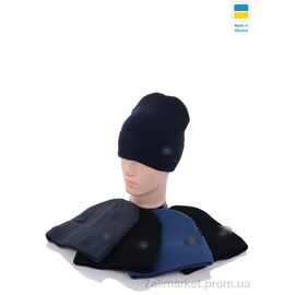 Шапка чоловіча Зима SW035-3 на флісі mix (5 шт. р.сітка56-60) "Angelica" недорого оптом від прямого постачальника