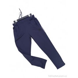 Спортивні штани чоловічі Весна/осінь N012-10 navy (5 шт. р.сіткаS-2XL) "Verton" недорого оптом від прямого постачальника