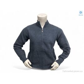 Кофта чоловіча Весна/осінь 3063 джинс (3 шт. р.сіткаL-2XL) "TurkishBrend" недорого оптом від прямого постачальника