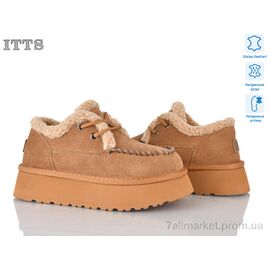 Туфлі жіночі стильні Зима F255-20 (6 пар р.36-40) "ITTS" недорого оптом від прямого постачальника
