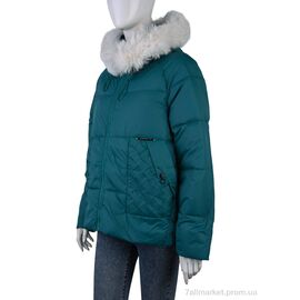 Куртка жіноча Весна/осінь 2276 (12043) green (5 шт. р.сіткаS-2XL) "Obuvok" недорого оптом від прямого постачальника