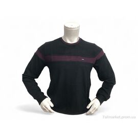 Батник чоловічий Весна/осінь 6358 чорний (4 шт. р.сіткаL-3XL) "TurkishBrend" недорого оптом від прямого постачальника