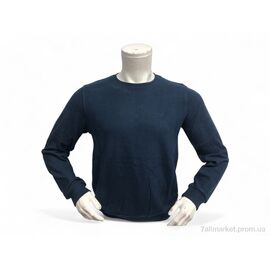 Батник чоловічий Весна/осінь 6355 синій (4 шт. р.сіткаL-3XL) "TurkishBrend" недорого оптом від прямого постачальника