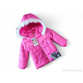 Куртка дитяча Весна/осінь S74 малиновий єврозима (3 шт. р.сітка2-3) "Kids-modnik" недорого оптом від прямого постачальника