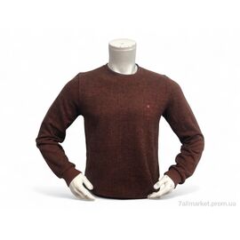 Батник чоловічий Весна/осінь 6351 терракот (4 шт. р.сіткаL-3XL) "TurkishBrend" недорого оптом від прямого постачальника