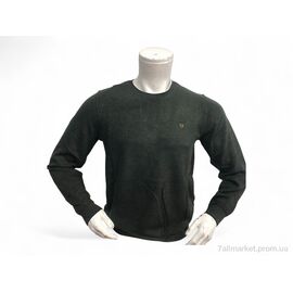 Батник чоловічий Весна/осінь 6351 зелений (4 шт. р.сіткаL-3XL) "TurkishBrend" недорого оптом від прямого постачальника