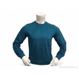 Батник чоловічий Весна/осінь 6351 морська хвиля (4 шт. р.сіткаL-3XL) "TurkishBrend" недорого оптом від прямого постачальника