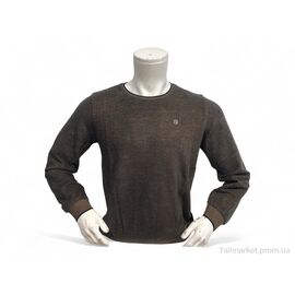 Батник чоловічий Весна/осінь 6351 коричневий (4 шт. р.сіткаL-3XL) "TurkishBrend" недорого оптом від прямого постачальника