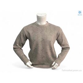 Светр чоловічий Весна/осінь 25013 бежевий (3 шт. р.сіткаL-2XL) "TurkishBrend" недорого оптом від прямого постачальника