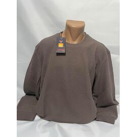 Фотография Свитер мужской SB1422 brown р.3XL-6XL "Sabihina" недорого оптом от прямого поставщика