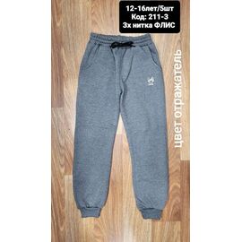 Штани дитячі спортивні зимові на хлопчика 211-3 grey р.12-16 "MMZ" недорого оптом від прямого постачальника