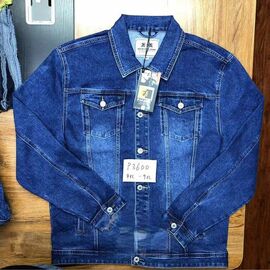 Куртка чоловіча P3600 blue р.4XL-9XL "Pagalee" недорого оптом від прямого постачальника