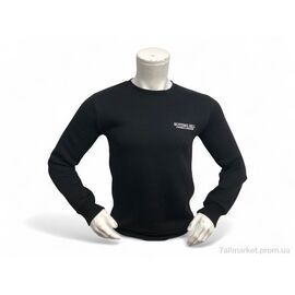 Батник чоловічий Весна/осінь 02 чорний (4 шт. р.сіткаM-2XL) "TurkishBrend" недорого оптом від прямого постачальника