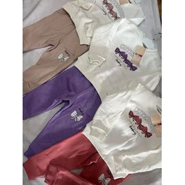 Костюм дитячий спортивний теплий на дівчинку ZA1514 powder р.3-6 "Zayka" недорого оптом від прямого постачальника