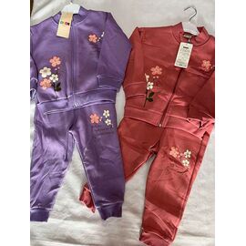 Костюм дитячий спортивний теплий на дівчинку ZA1520 brown р.3-7 "Zayka" недорого оптом від прямого постачальника