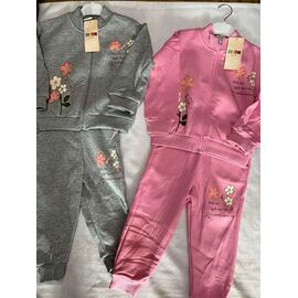 Костюм дитячий спортивний теплий на дівчинку ZA1522 pink р.3-7 "Zayka" недорого оптом від прямого постачальника