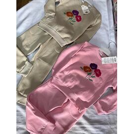 Костюм дитячий спортивний теплий на дівчинку ZA1543 pink р.5-11 "Zayka" недорого оптом від прямого постачальника