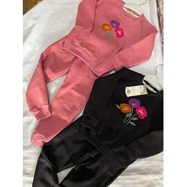 Костюм дитячий спортивний теплий на дівчинку ZA1545 powder р.5-11 "Zayka" недорого оптом від прямого постачальника