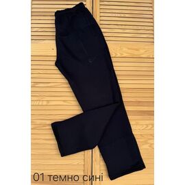 Штани спортивні чоловічі утеплені 01 navy р.56-64 "VICTORY" недорого оптом від прямого постачальника