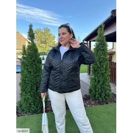 Жіноча куртка плащівка на синтепоні р.46-48;50-52;54-56;58-60 (5кол.) "VLADA" купити недорого від прямого постачальника