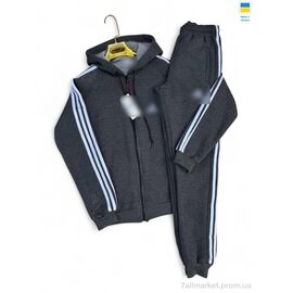 Спортивний костюм чоловічий Зима Ads т.сірий (5 шт. р.сітка46-54) "Sport style" недорого оптом від прямого постачальника