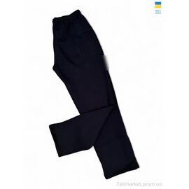 Спортивні штани чоловічі Зима 01-NK т.синій (5 шт. р.сітка56-64) "Sport style" недорого оптом від прямого постачальника