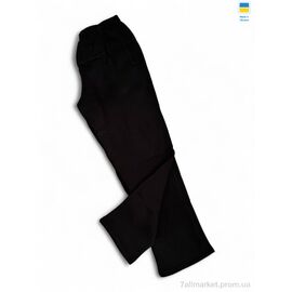 Спортивні штани чоловічі Зима 01-NK чорний (5 шт. р.сітка56-64) "Sport style" недорого оптом від прямого постачальника