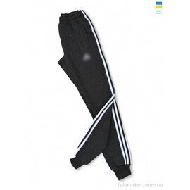 Спортивні штани чоловічі Зима 001-1 AD т.сірий (5 шт. р.сітка46-54) "Sport style" недорого оптом від прямого постачальника